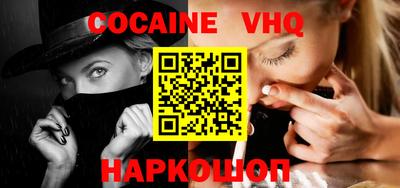 стафф Гатчина