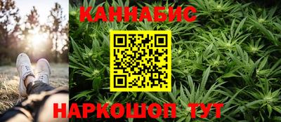 стафф Гатчина